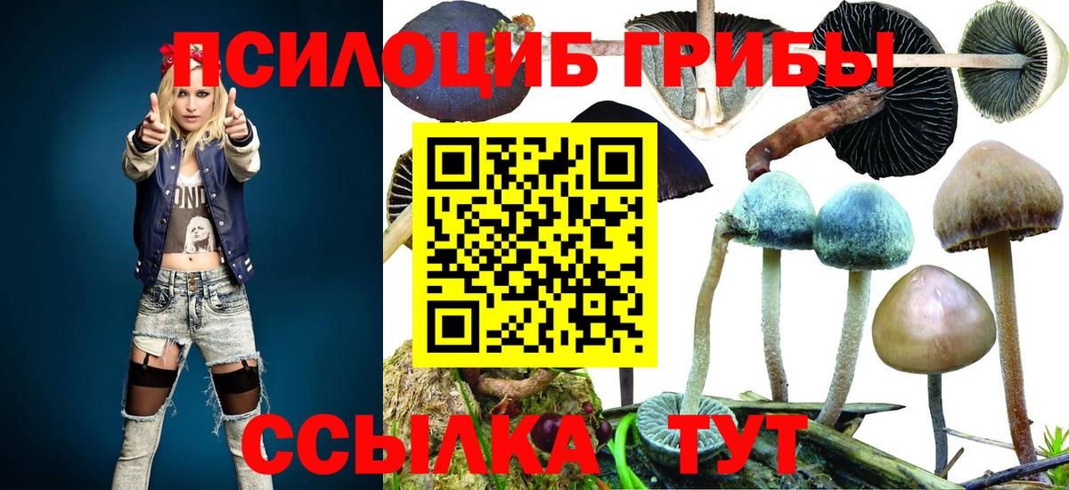 Галлюциногенные грибы прущие грибы Псков