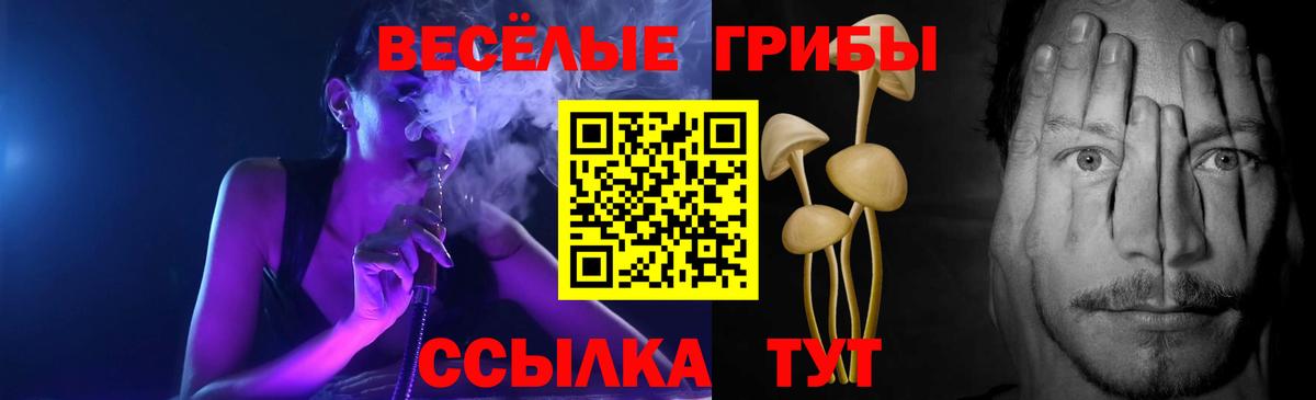 Галлюциногенные грибы MAGIC MUSHROOMS  Вход с VPN  Псков  Галлюциногенные грибы GOLDEN TEACHER 